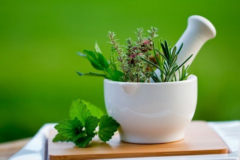 herba untuk rawatan cacing
